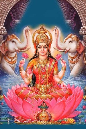 lakshmi 01